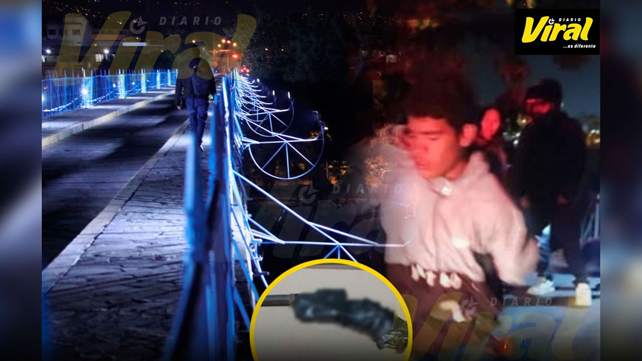 Extranjero a prisión tras intento de robo